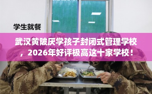 武汉黄陂厌学孩子封闭式管理学校，2026年好评极高这十家学校！