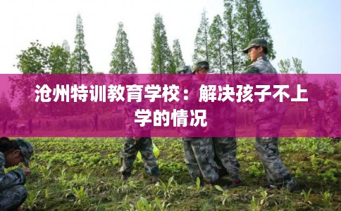 沧州特训教育学校：解决孩子不上学的情况