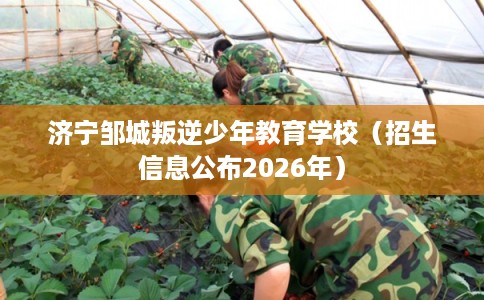 济宁邹城叛逆少年教育学校（招生信息公布2026年）