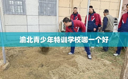 渝北青少年特训学校哪一个好