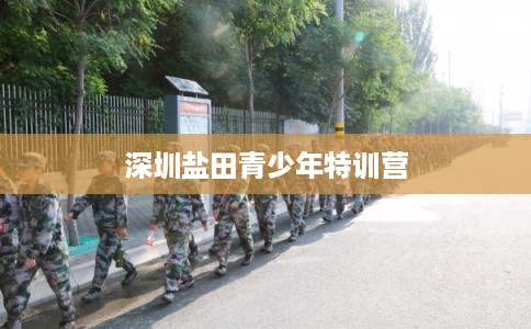 深圳盐田青少年特训营 深圳盐田青少年特训营