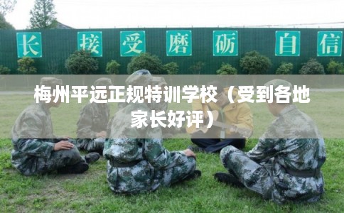 梅州平远正规特训学校(受到各地家长好评) 梅州平远正规特训学校(受到各地家长好评)