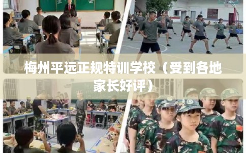梅州平远正规特训学校（受到各地家长好评）