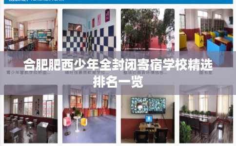 合肥肥西少年全封闭寄宿学校精选排名一览