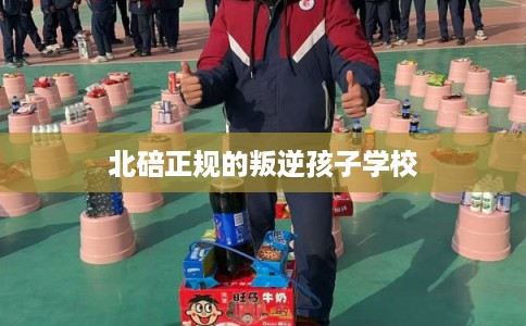 北碚正规的叛逆孩子学校