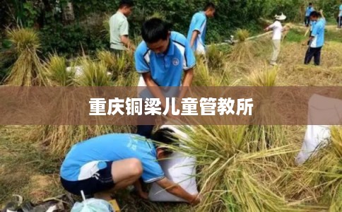 重庆铜梁儿童管教所 重庆铜梁儿童管教所