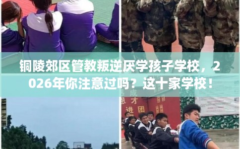 铜陵郊区管教叛逆厌学孩子学校，2026年你注意过吗？这十家学校！