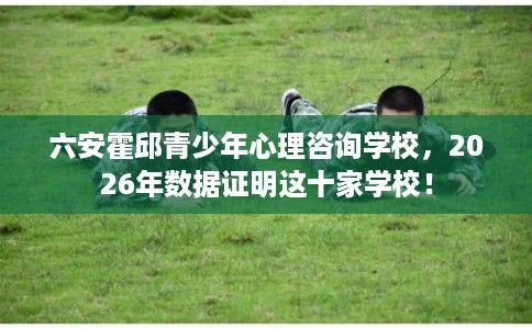 六安霍邱青少年心理咨询学校,2026年数据证明这十家学校! 六安霍邱青少年心理咨询学校,2026年数据证明这十家学校!