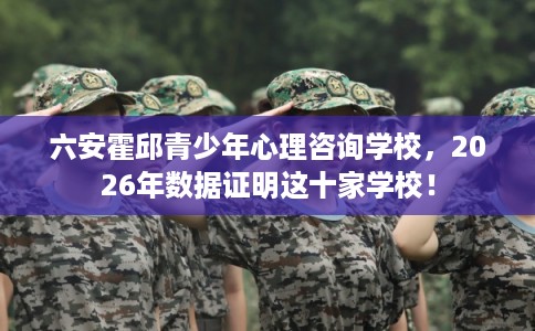 六安霍邱青少年心理咨询学校，2026年数据证明这十家学校！