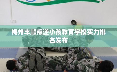 梅州丰顺叛逆小孩教育学校实力排名发布