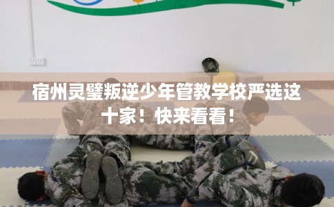 宿州灵璧叛逆少年管教学校严选这十家！快来看看！