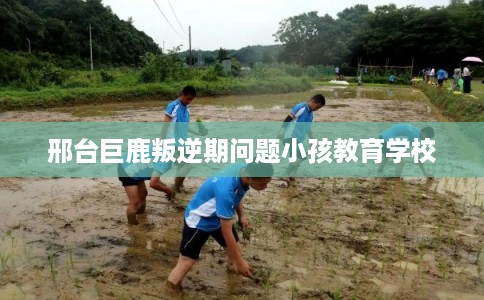 邢台巨鹿叛逆期问题小孩教育学校 邢台巨鹿叛逆期问题小孩教育学校