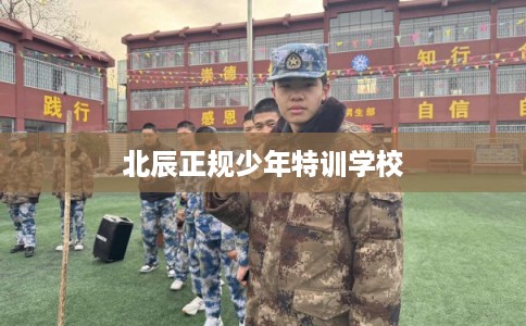 北辰正规少年特训学校