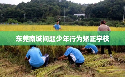 东莞南城问题少年行为矫正学校 东莞南城问题少年行为矫正学校