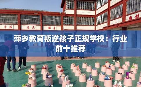 萍乡教育叛逆孩子正规学校:行业前十推荐 萍乡教育叛逆孩子正规学校:行业前十推荐