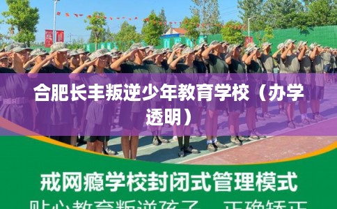 合肥长丰叛逆少年教育学校（办学透明）