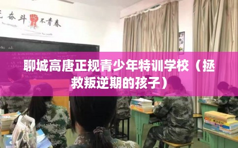 聊城高唐正规青少年特训学校（拯救叛逆期的孩子）