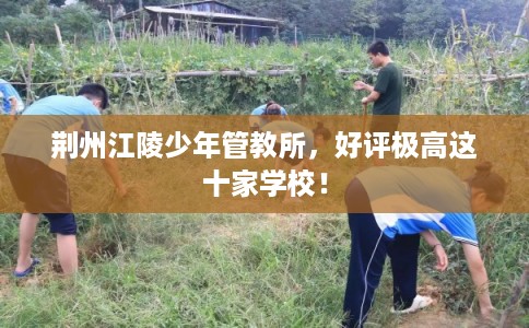 荆州江陵少年管教所，好评极高这十家学校！