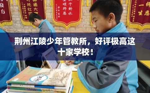 荆州江陵少年管教所，好评极高这十家学校！