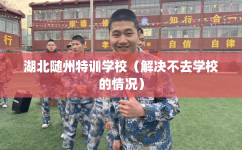 湖北随州特训学校（解决不去学校的情况）
