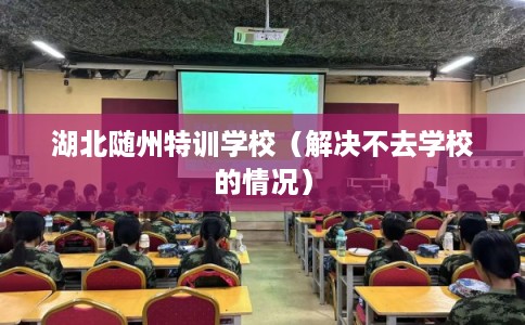 湖北随州特训学校（解决不去学校的情况）