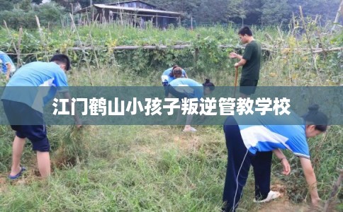 江门鹤山小孩子叛逆管教学校 江门鹤山小孩子叛逆管教学校