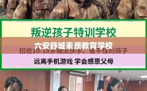 六安舒城素质教育学校