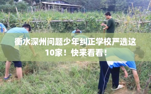 衡水深州问题少年纠正学校严选这10家!快来看看! 衡水深州问题少年纠正学校严选这10家!快来看看!