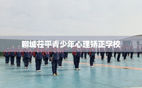 聊城茌平青少年心理矫正学校