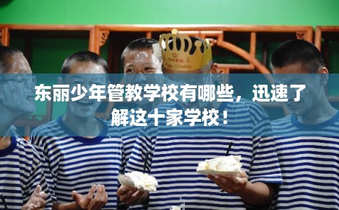 东丽少年管教学校有哪些,迅速了解这十家学校! 东丽少年管教学校有哪些,迅速了解这十家学校!