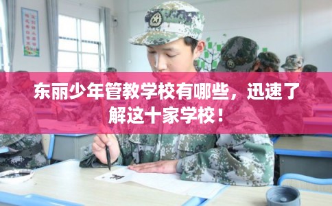 东丽少年管教学校有哪些,迅速了解这十家学校! 东丽少年管教学校有哪些,迅速了解这十家学校!