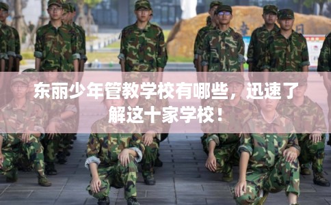 东丽少年管教学校有哪些，迅速了解这十家学校！
