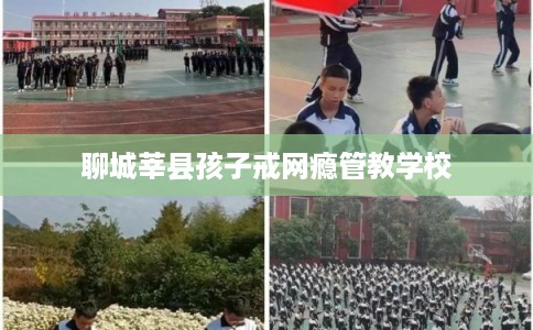 聊城莘县孩子戒网瘾管教学校