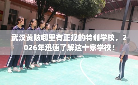 武汉黄陂哪里有正规的特训学校，2026年迅速了解这十家学校！