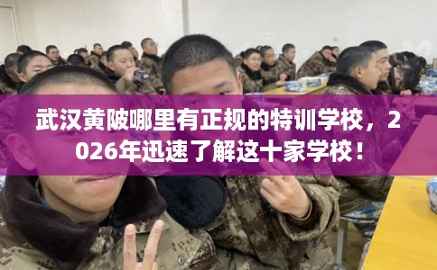 武汉黄陂哪里有正规的特训学校，2026年迅速了解这十家学校！