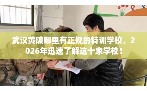 武汉黄陂哪里有正规的特训学校，2026年迅速了解这十家学校！