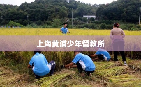 上海黄浦少年管教所