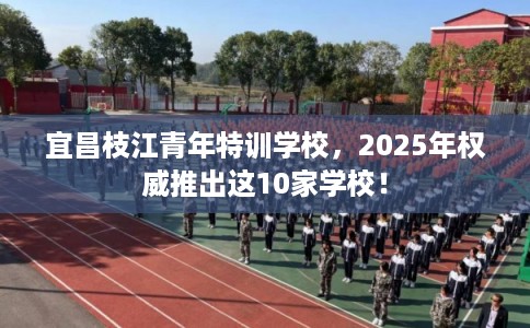宜昌枝江青年特训学校，2025年权威推出这10家学校！