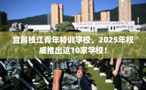 宜昌枝江青年特训学校，2025年权威推出这10家学校！