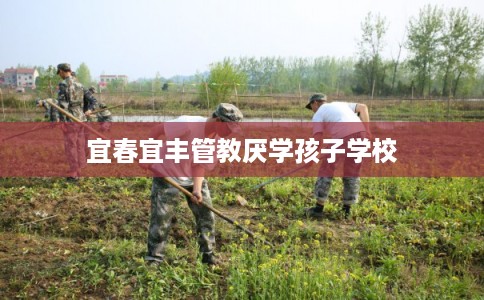 宜春宜丰管教厌学孩子学校 宜春宜丰管教厌学孩子学校
