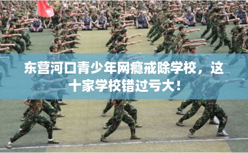 东营河口青少年网瘾戒除学校，这十家学校错过亏大！