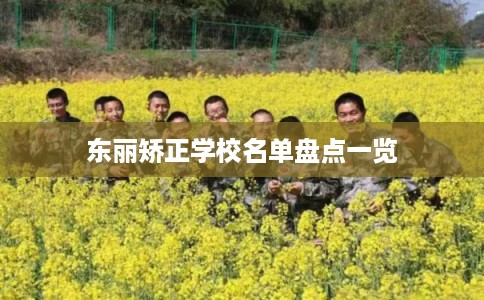 东丽矫正学校名单盘点一览 东丽矫正学校名单盘点一览