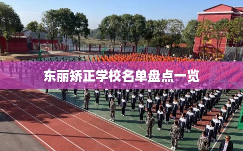 东丽矫正学校名单盘点一览