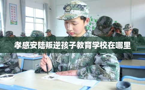 孝感安陆叛逆孩子教育学校在哪里 孝感安陆叛逆孩子教育学校在哪里