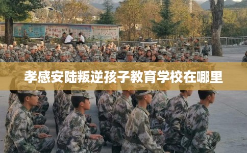 孝感安陆叛逆孩子教育学校在哪里