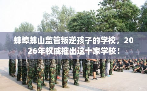 蚌埠蚌山监管叛逆孩子的学校，2026年权威推出这十家学校！