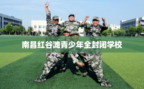 南昌红谷滩青少年全封闭学校