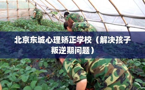 北京东城心理矫正学校(解决孩子叛逆期问题) 北京东城心理矫正学校(解决孩子叛逆期问题)