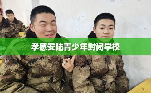 孝感安陆青少年封闭学校 孝感安陆青少年封闭学校