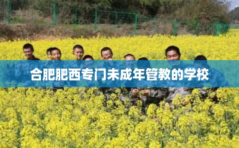 合肥肥西专门未成年管教的学校